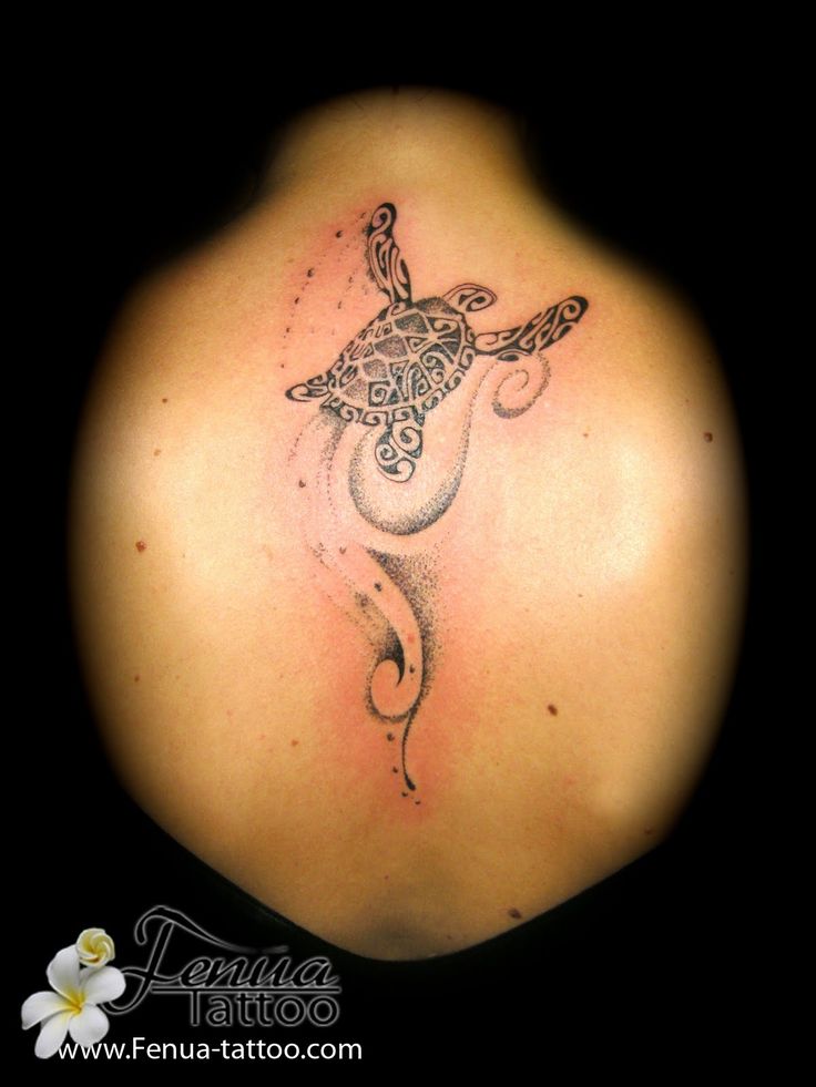 Tatouage Tortue Maorie Signification , Tatouage de tortue modèle tattoo tortue et symbolique de la