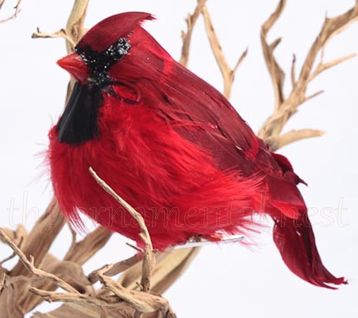 79 best cardinal themed christmas decor images on 79 best cardinal themed christmas decor images on