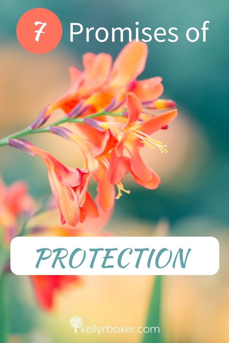 Receive Comfort From These 7 Promises Of Protection Christian