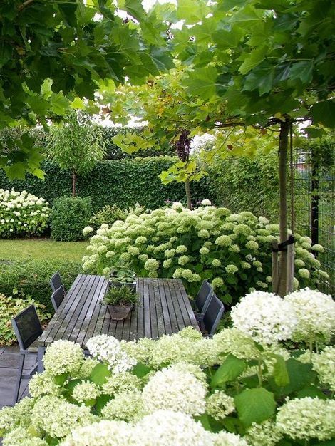 Beim Gärtnern geht es nicht nur darum, Ihren Garten attraktiver zu machen, , #...