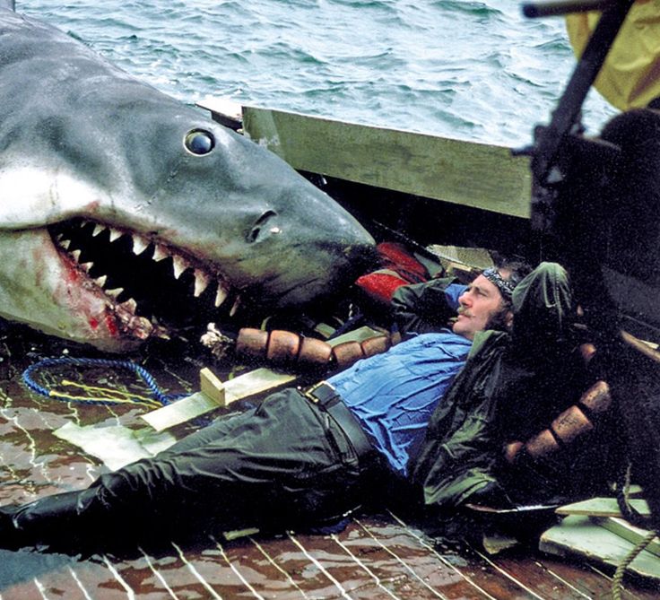 jaws song in boat 300 best jaws images on pinterest shark sharks and jaws song in boat 300 best jaws images on pinterest shark sharks and