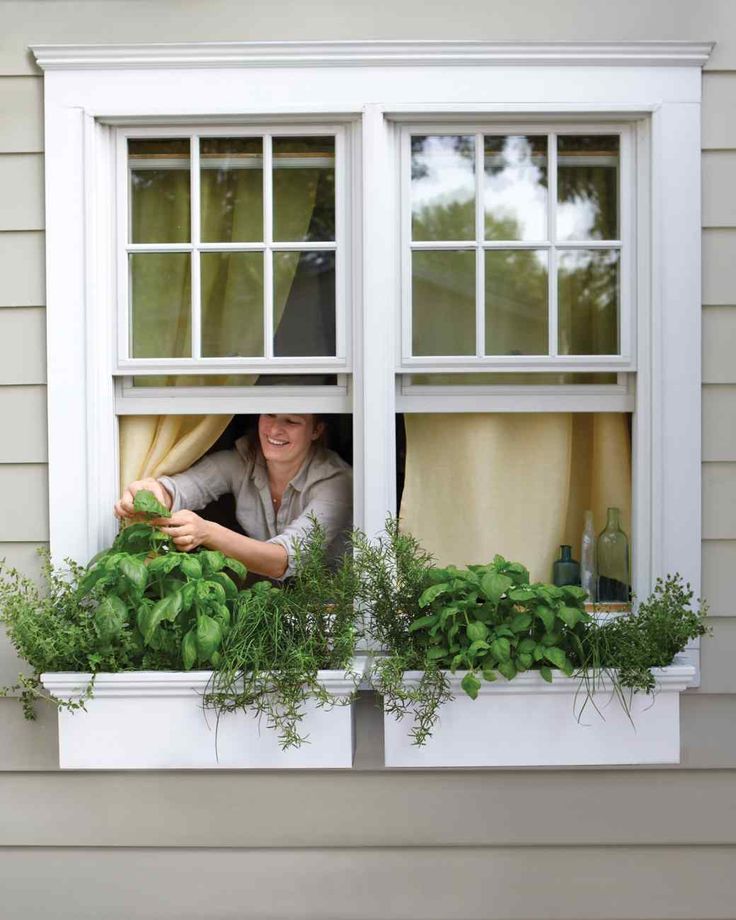 251 Best Containers Window Box Images On Pinterest Bo Window Bo With Herbs
