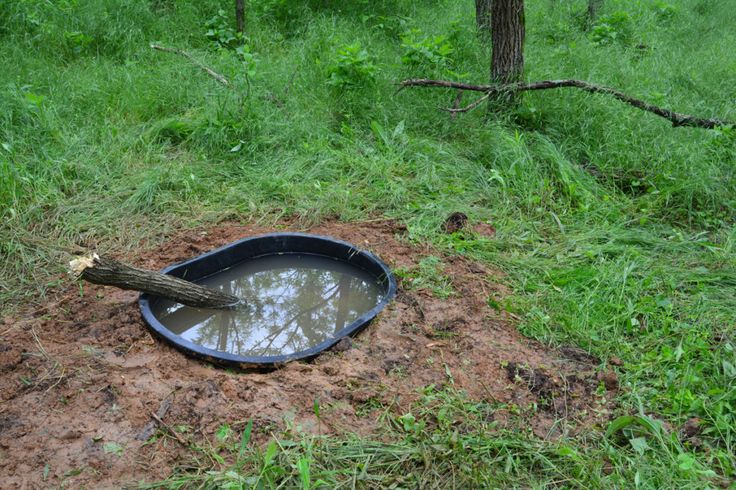 Food lick mineral plot topic Food lick mineral plot with you