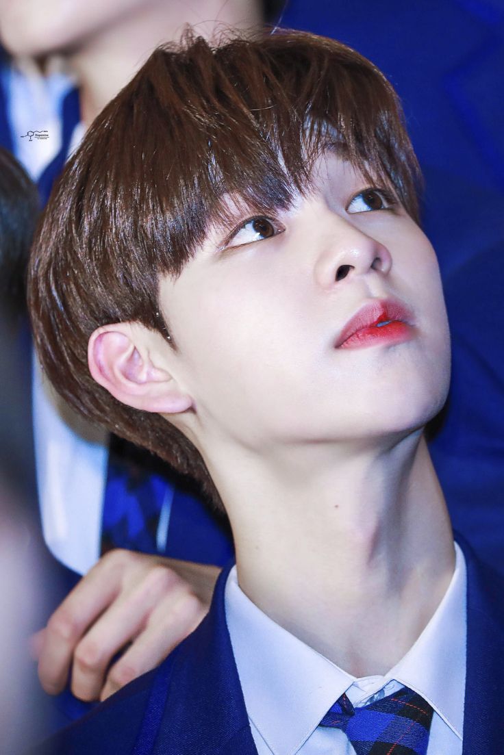 pin oleh geum di woollim kim dongyun pin oleh geum di woollim kim dongyun