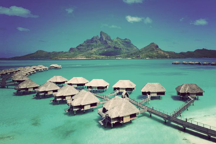 four seasons hotels essay The four seasons hotels & resorts has been selected as the subject of this research in light of its perceived position in the industry and its global presence please order custom thesis paper, dissertation , term paper , research paper, essay , book report , case study from the order now page. four seasons hotels essay The four seasons hotels & resorts has been selected as the subject of this research in light of its perceived position in the industry and its global presence please order custom thesis paper, dissertation , term paper , research paper, essay , book report , case study from the order now page.