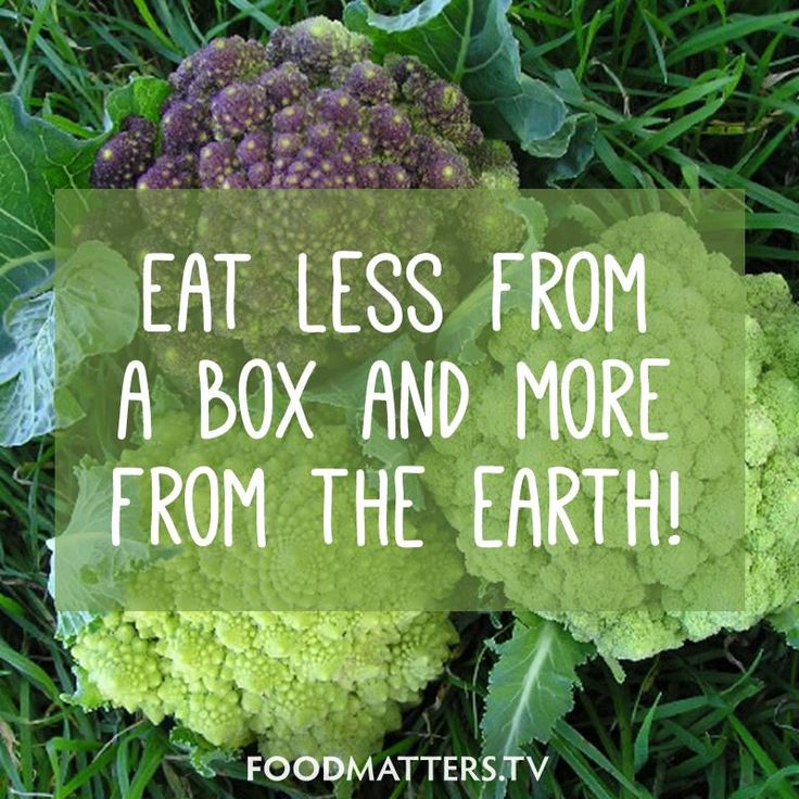 Raw food plant based diet