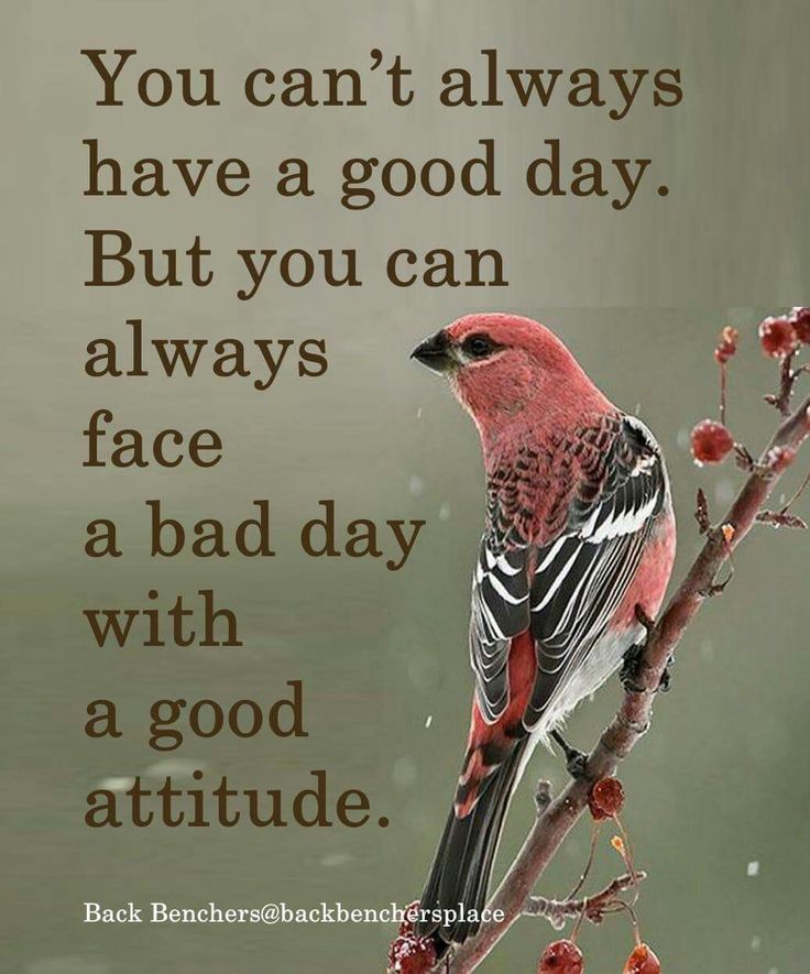 Pin By Barbara Stanley On Quotes Also Have Good Day Good Attitude pin-by-barbara-stanley-on-quotes-also-have-good-day-good-attitude