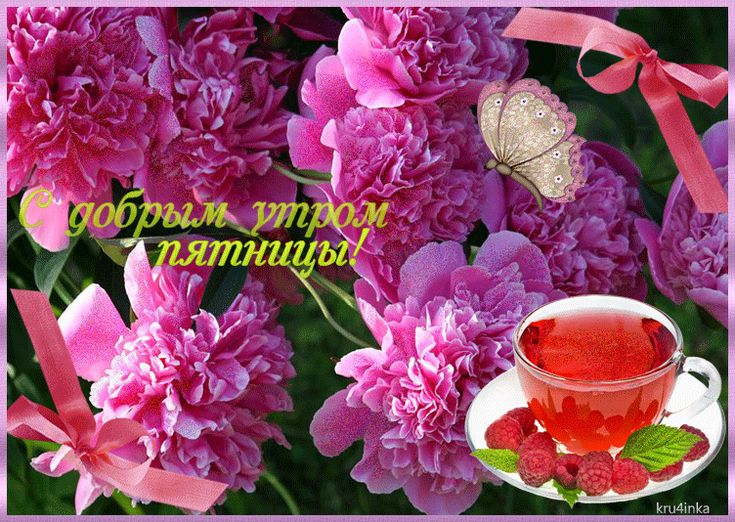 Цветы картинки с пятницей
