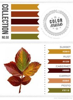best 25+ brown color schemes ideas on pinterest | brown color best 25+ brown color schemes ideas on pinterest | brown color