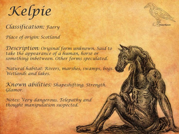 treasury of irish myth legend and folklore pdf