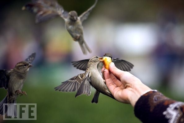 Early bird gets finger class photos
