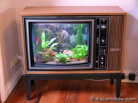 Convert an Old TV Into a Fish Tank | Pins From Our Fans | Pinterest | Fish Tank, Fish and TVs