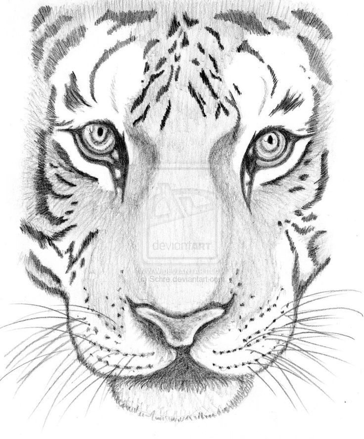 7 best drawings images on pinterest drawings paint and to draw 7 best drawings images on pinterest drawings paint and to draw