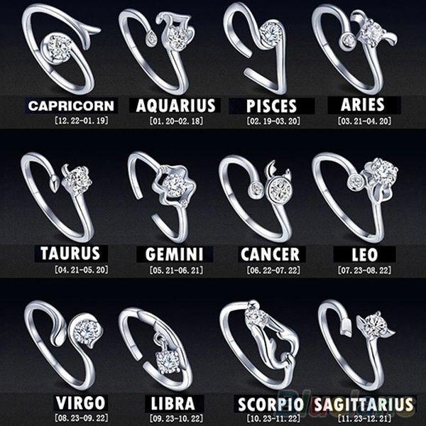 Zodiac sign Birthday Ring Zodiac sign Aries Ring in Sterling Silver Horoscope Friendship Ring Family Ring Zodiac symbol Birthday Gift