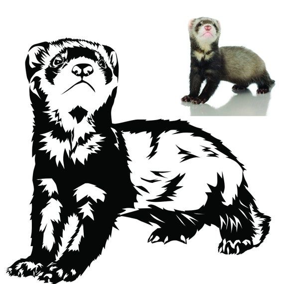 Custom Wall Decal Of Your Pet Personalized Ferret Lover Etsy Custom Wall Decal Wall Decals Vinyl Sticker