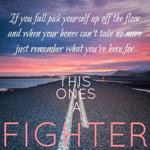 The Fighter Lyrics Gym Class Heroes Meaning The Fighter Gym Class Heroes Lyrics