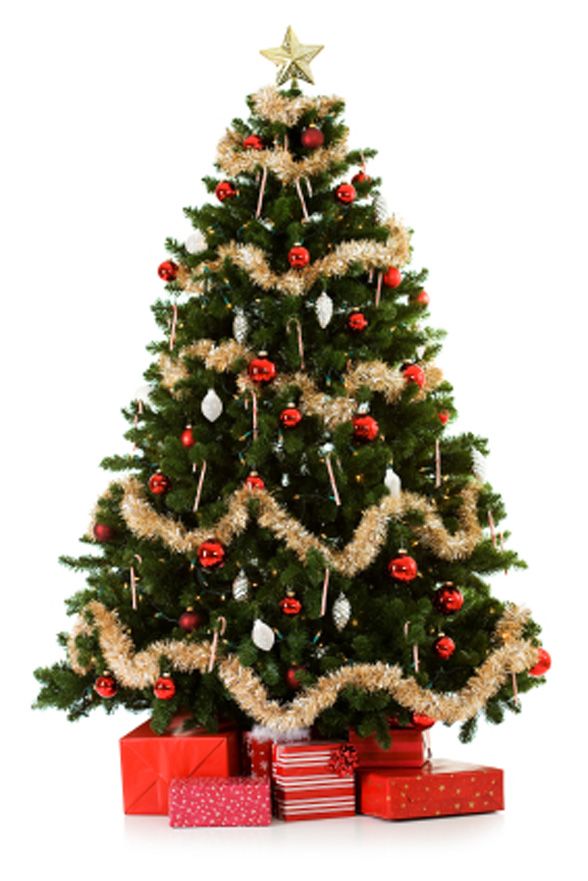 34 best christmas trees and tree toppers images on ben stein christmas trees