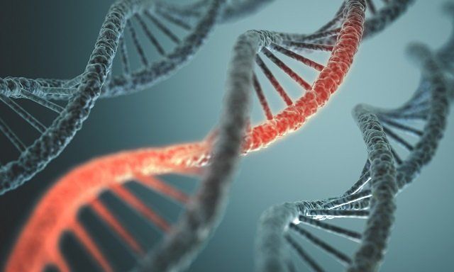 遺伝子身組換え食品は人体実験 有名生物学者デヴィッド スズキが暴露 の画像3 Epigenetics Genetics Mthfr Mutation 遺伝子身組換え食品は人体実験 有名生物学者デヴィッド スズキが暴露 の画像3 Epigenetics Genetics Mthfr Mutation
