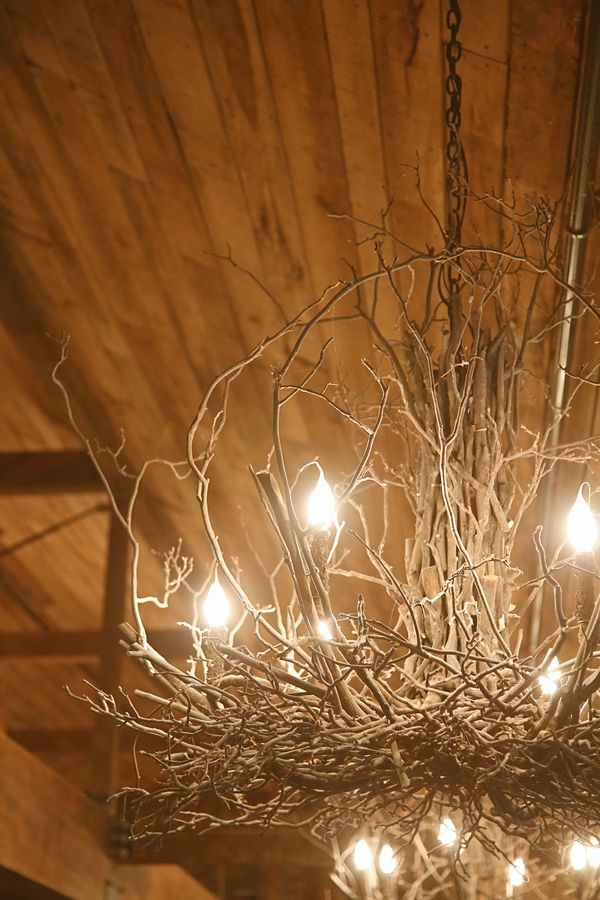 111 Best Branches Images On Projects Tree 111 Best Branches Images On Projects Tree And Wood