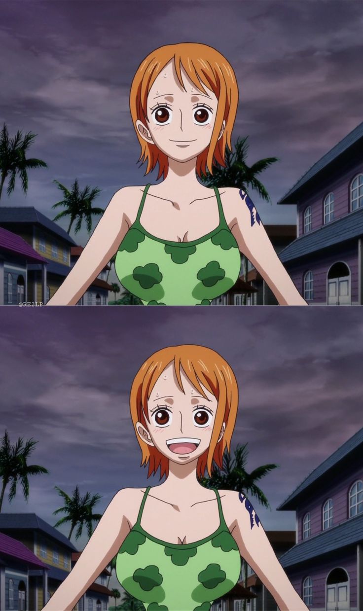 5th One Piece Zou Arc Blu Ray Anime Tv Disc Scheduled Manga Anime One Piece One Piece Episodes One Piece Nami