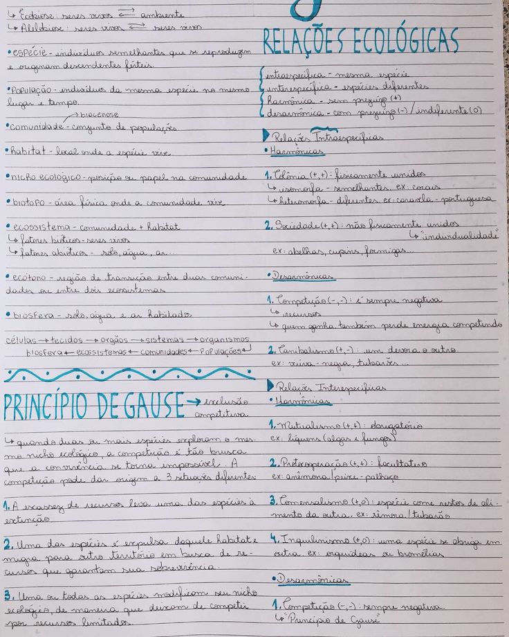 Artigo psicologia do trabalho Artigo psicologia do trabalho