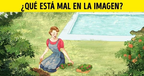 5 Objetos Que Tu Gato Amará Y Que Puedes Hacer Con Tus Propias Manos En 2020 Entrenamiento De Pierna Dolor De Piernas Estiramientos De Yoga