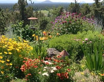✔️11++ Perennial flowers native to oregon - information Popular 11 17b6073fbde59d7cbd3e7ad371d02ece