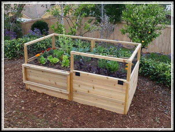 Smarten The Horticulture With One Of These Useful Tips Vegetable