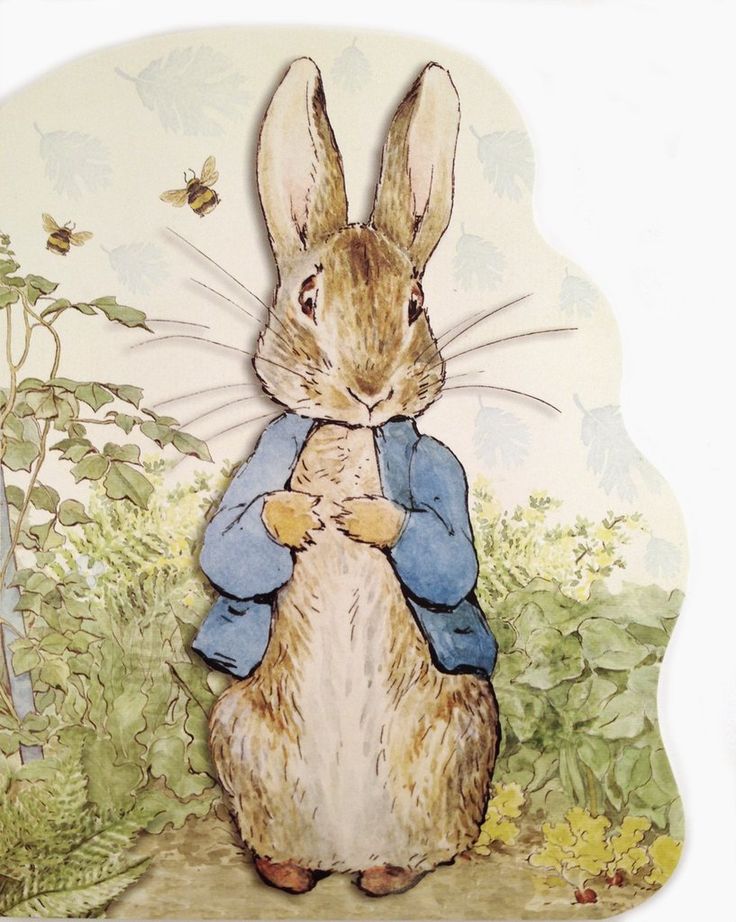 Best 25+ Peter rabbit movie ideas on Pinterest Peter rabbit - resume rabbit review Best 25+ Peter rabbit movie ideas on Pinterest Peter rabbit - resume rabbit review
