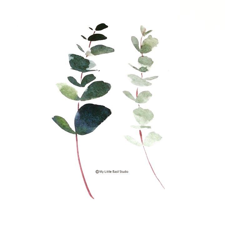 Garima Srivastava On Instagram Process Watercolor Eucalyptus Leaves Learn To Paint L - How To Paint Eucalyptus Leaves Garima Srivastava On Instagram Process Watercolor Eucalyptus Leaves Learn To Paint L - How To Paint Eucalyptus Leaves