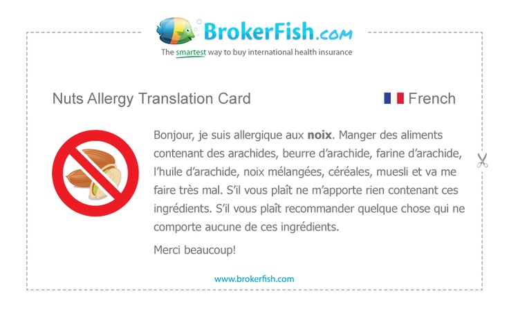 Free Allergy Translation cards. Nut allergies Free Allergy Translation cards. Nut allergies