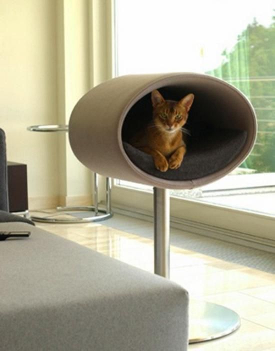 möbel für haustiere holz möbel für haustiere komfort den vierbeinigen liebling sichern pinterest cats cat scratching and post möbel für haustiere holz möbel für haustiere komfort den vierbeinigen liebling sichern pinterest cats cat scratching and post