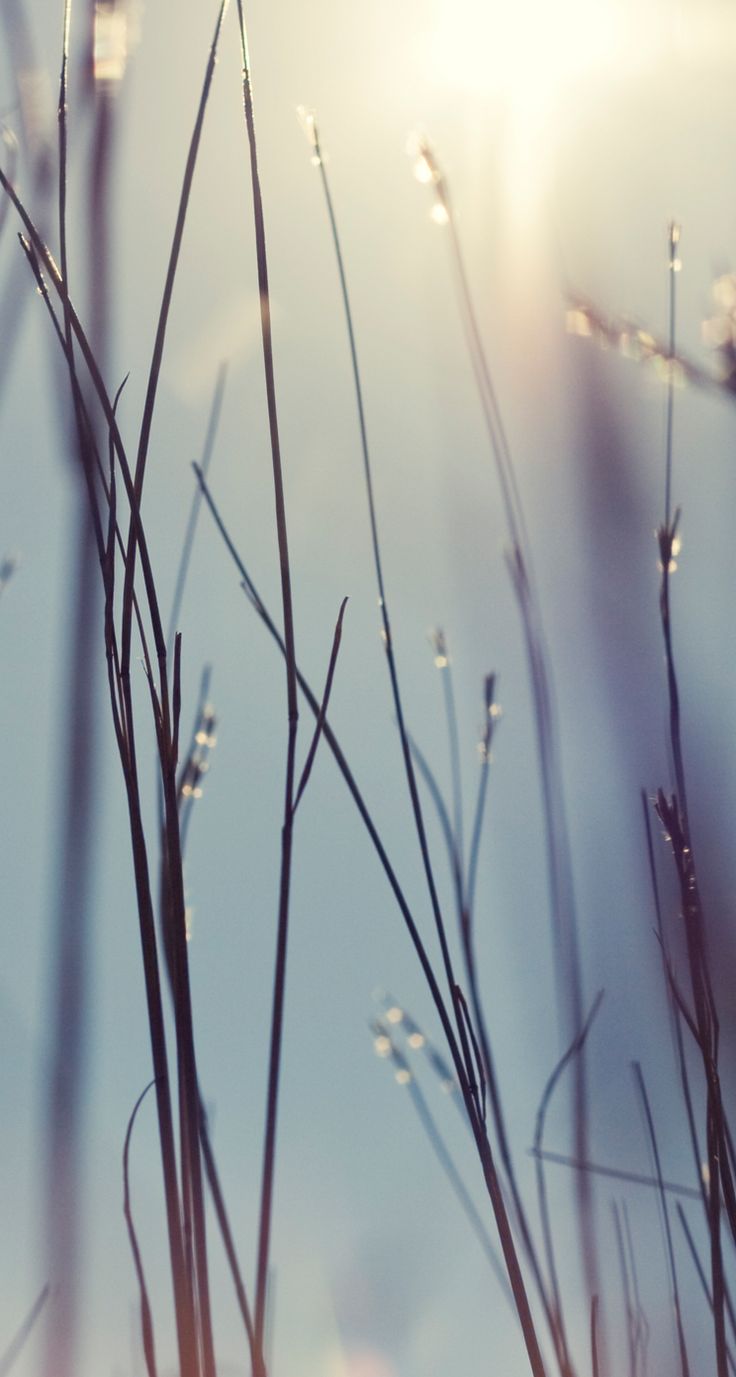 Download iOS 7 Wallpapers For iPhone, iPad and iPod Touchs | Papeis de