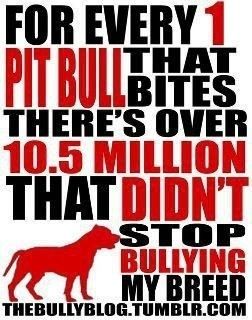 Stop Dog Love Bites Stop Dog Love Bites