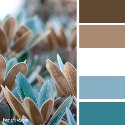 Diy Idea For Old Suitcase Exterior Designs Pinterest Room This Color Scheme Would Be Nice It Isn T Overly Feminine Which Scare Away Male Guests
