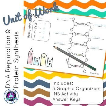111 best DNA RNA images on Pinterest Life science, Physical - best of dna blueprint of life worksheet 111 best DNA RNA images on Pinterest Life science, Physical - best of dna blueprint of life worksheet