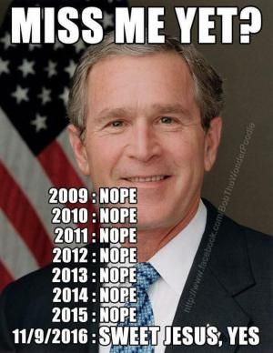best 20 reddit memes ideas on pinterest reddit is fun, reddit 18907b2e68b276e3c8cf627854ceecf2 election memes riff raff best 20 reddit memes ideas on pinterest reddit is fun, reddit,Most Liked Meme