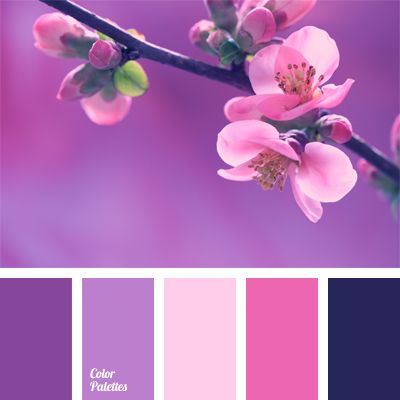 Bright And Delicate At The Same Time Colors Of This Palette Are Eye Bright And Delicate At The Same Time Colors Of This Palette Are Eye Catching Contrasting Violet Pale Pink Suit A