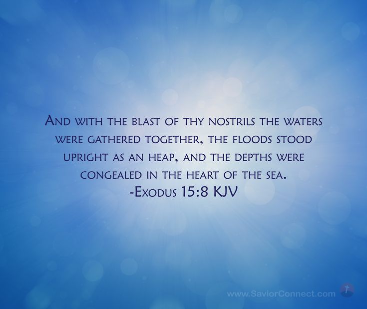 Exodus 158 King James Version King james version, Kjv, Scripture images Exodus 158 King James Version King james version, Kjv, Scripture images