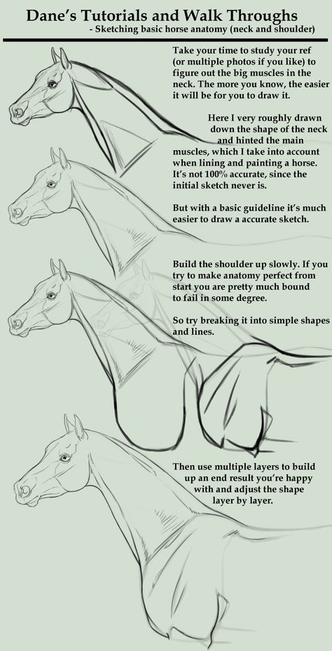 2903 best Pencils images on Pinterest | Horses, Animals and Drawings 2903 best Pencils images on Pinterest | Horses, Animals and Drawings