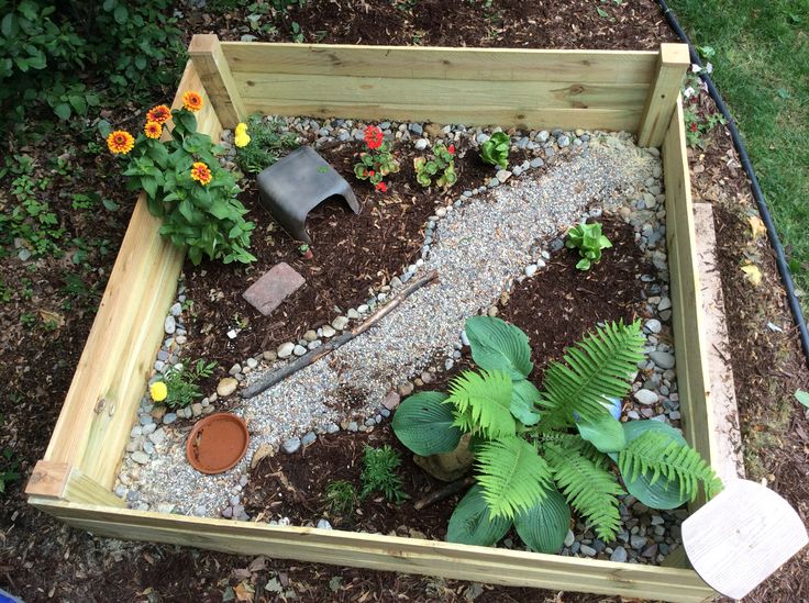 best 25 outdoor tortoise enclosure ideas on pinterest best 25 outdoor tortoise enclosure ideas on pinterest