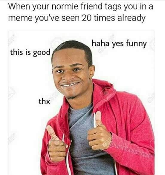 229 best memes images on pinterest funny shit, dankest memes and 18c4dbf243d3eb4ddfb3b7a0fbaec85e real memes funny memes 229 best memes images on pinterest funny shit, dankest memes and,What Meme Are You Quiz