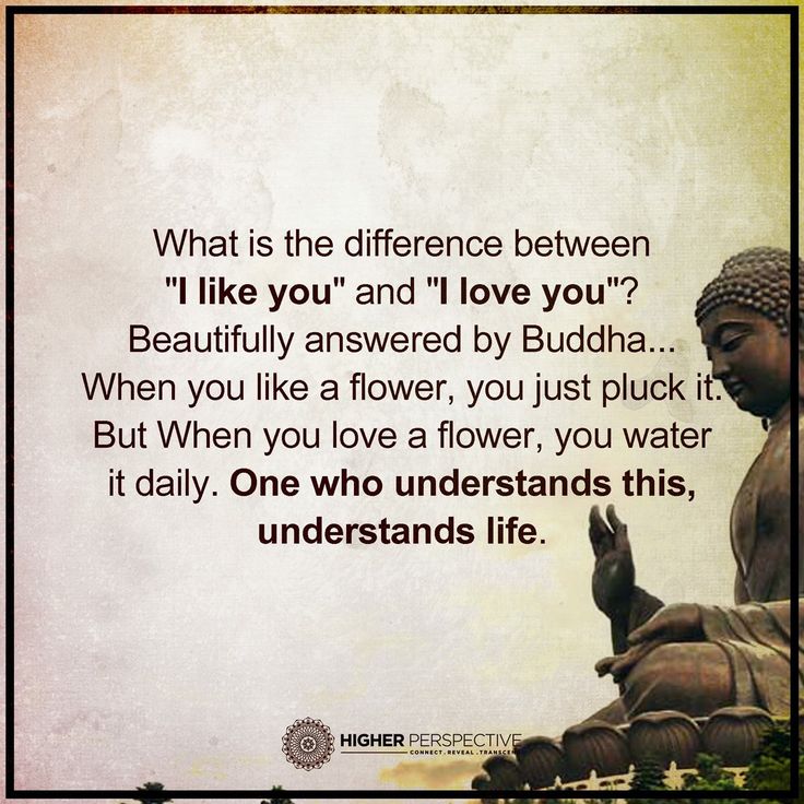 Simple Quotes About Life Magnificent 58 Best Laugh Live Love Images On Pinterest Sayings And Quotes Simple Quotes About Life Magnificent 58 Best Laugh Live Love Images On Pinterest Sayings And Quotes