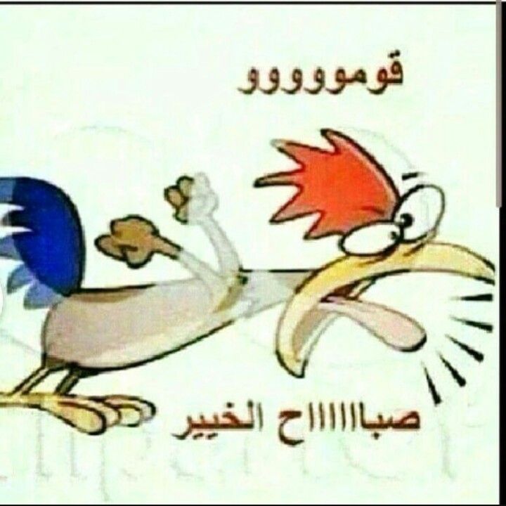 صباح الخير Morning Greeting Morning Love Funny Arabic Quotes