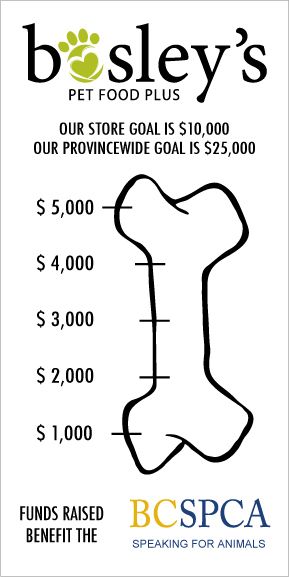 donations thermometer