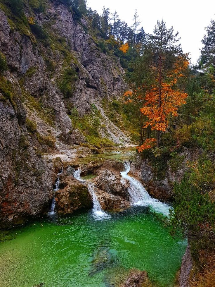 Single urlaub österreich wandern