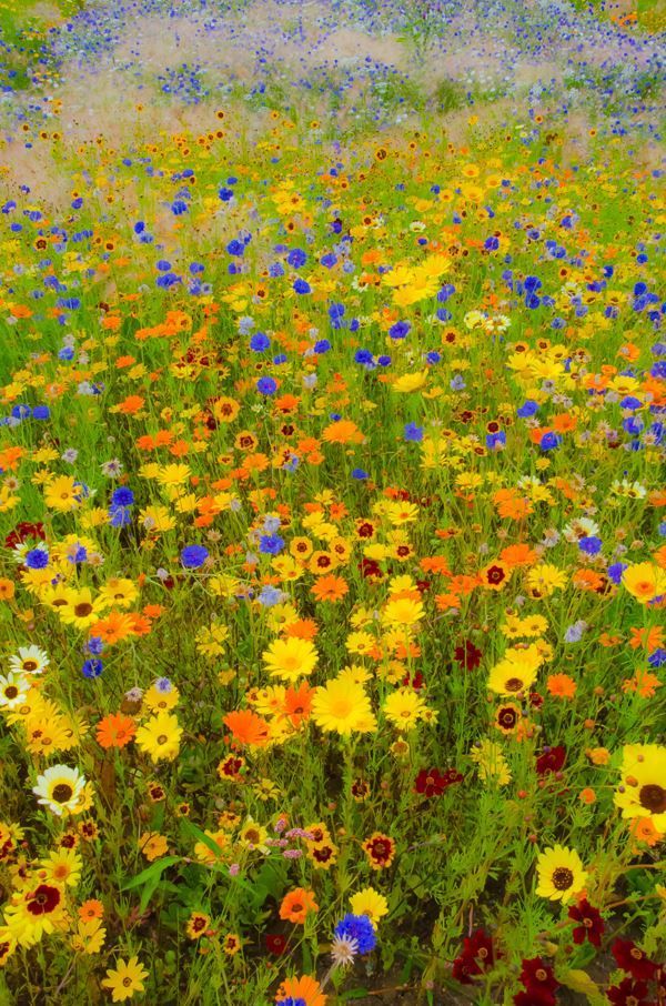 Schmalwand Kommode Von Gustav Klimt 2021 Schmalwand Kommode Von Gustav Klimt 2021