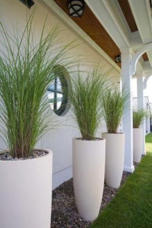 Tall Potted Plants best 25+ tall planters ideas on pinterest | outdoor potted plants Tall Potted Plants best 25+ tall planters ideas on pinterest | outdoor potted plants