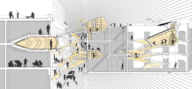 Section Perspective