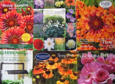 150 Best Flowers Love Those Images On Pinterest Vw Garden Review Of Mail Internet Nurseries Here Are My Reviews